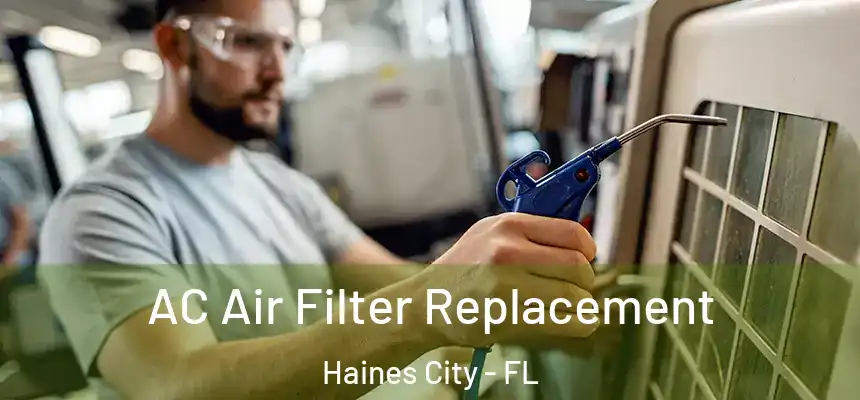 AC Air Filter Replacement Haines City - FL