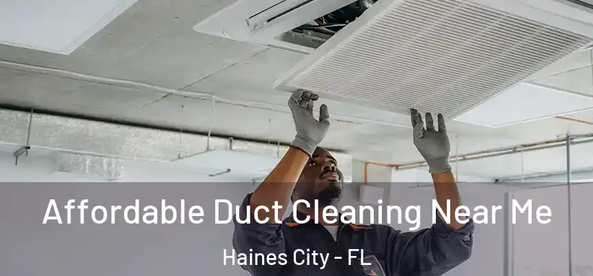 Affordable Duct Cleaning Near Me Haines City - FL