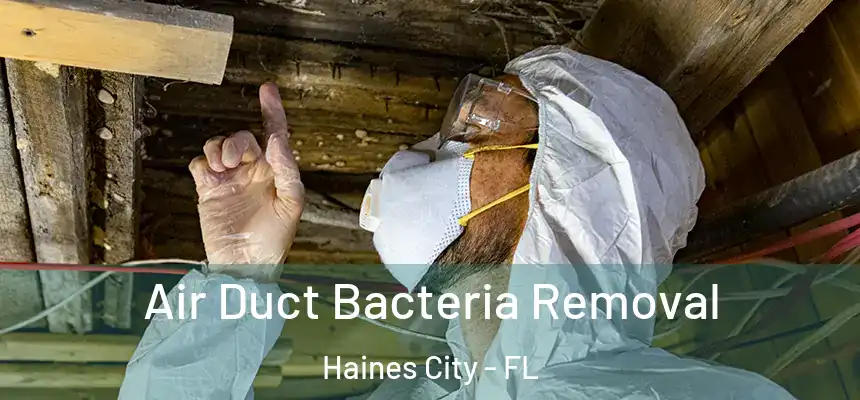 Air Duct Bacteria Removal Haines City - FL