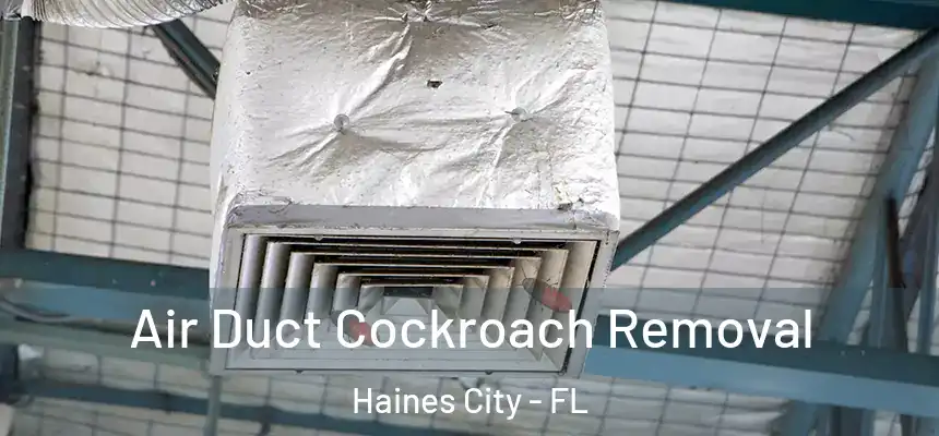 Air Duct Cockroach Removal Haines City - FL