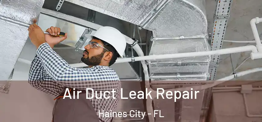 Air Duct Leak Repair Haines City - FL