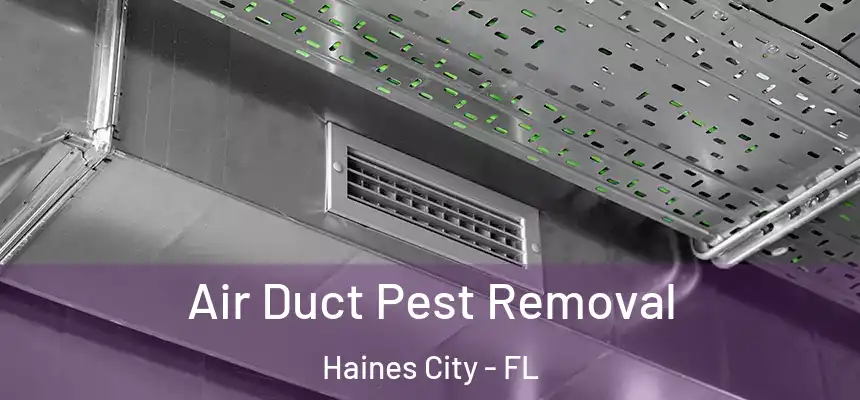 Air Duct Pest Removal Haines City - FL