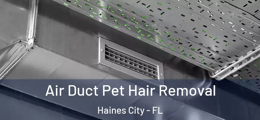 Air Duct Pet Hair Removal Haines City - FL