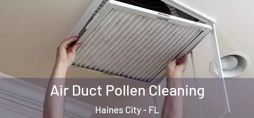 Air Duct Pollen Cleaning Haines City - FL
