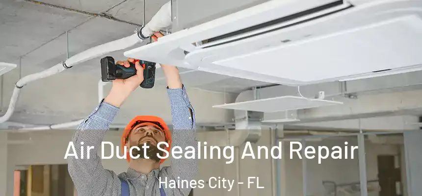Air Duct Sealing And Repair Haines City - FL