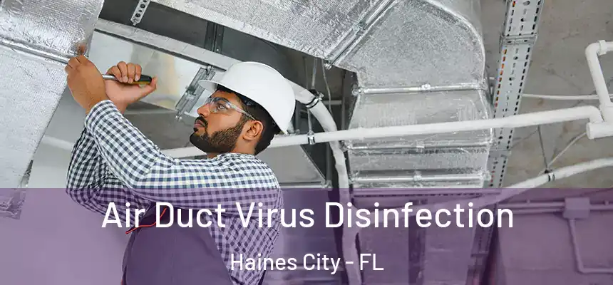 Air Duct Virus Disinfection Haines City - FL