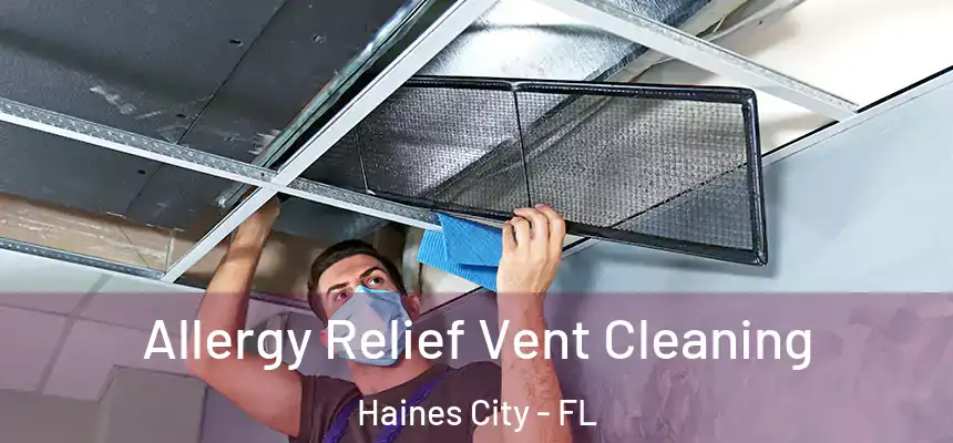 Allergy Relief Vent Cleaning Haines City - FL