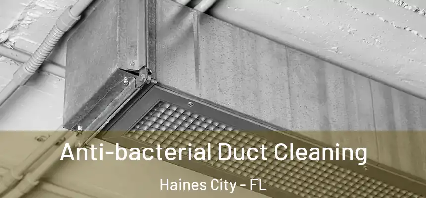 Anti-bacterial Duct Cleaning Haines City - FL