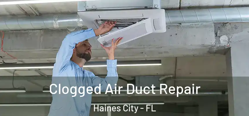 Clogged Air Duct Repair Haines City - FL