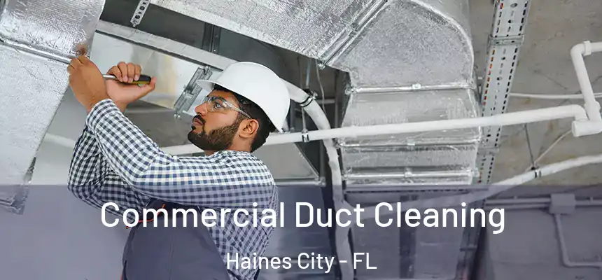 Commercial Duct Cleaning Haines City - FL
