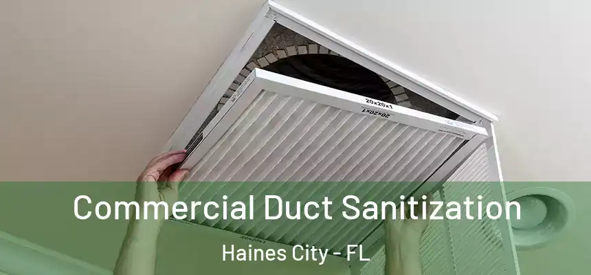 Commercial Duct Sanitization Haines City - FL