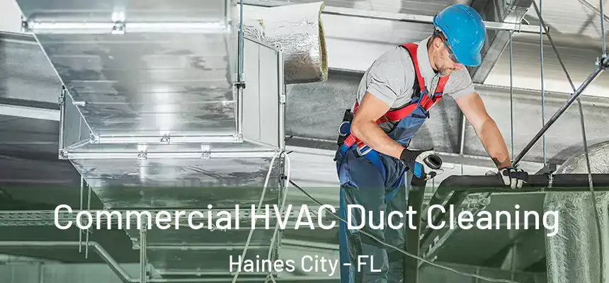 Commercial HVAC Duct Cleaning Haines City - FL