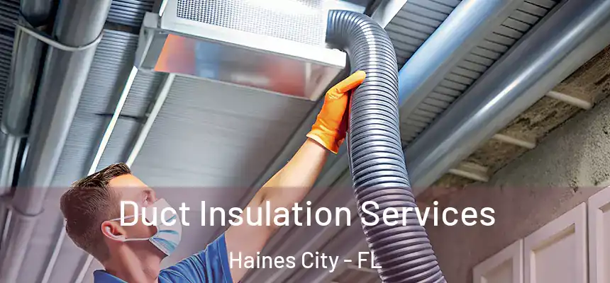 Duct Insulation Services Haines City - FL