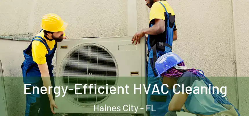 Energy-Efficient HVAC Cleaning Haines City - FL