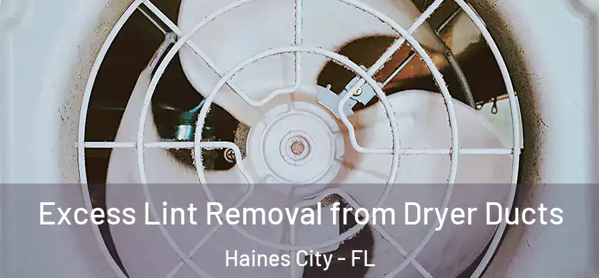 Excess Lint Removal from Dryer Ducts Haines City - FL