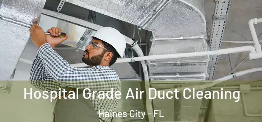 Hospital Grade Air Duct Cleaning Haines City - FL