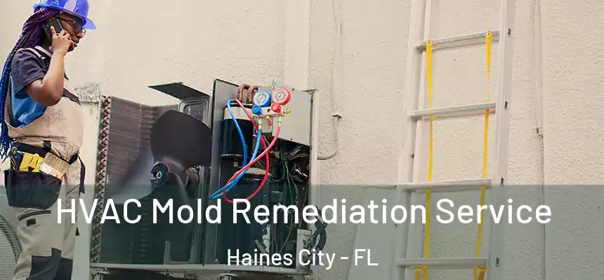 HVAC Mold Remediation Service Haines City - FL
