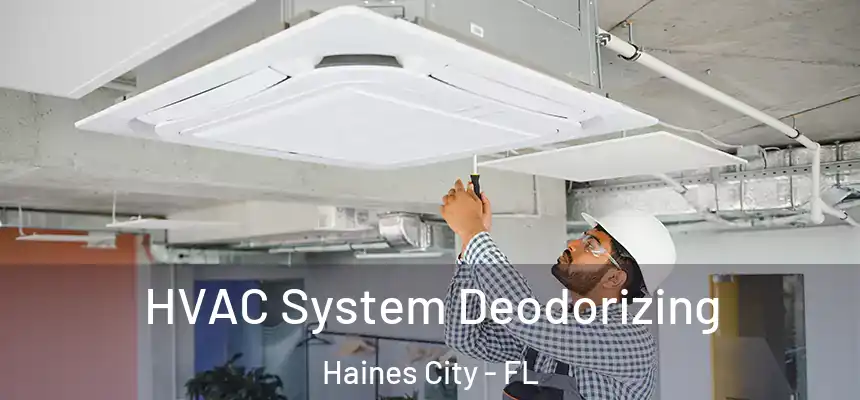 HVAC System Deodorizing Haines City - FL