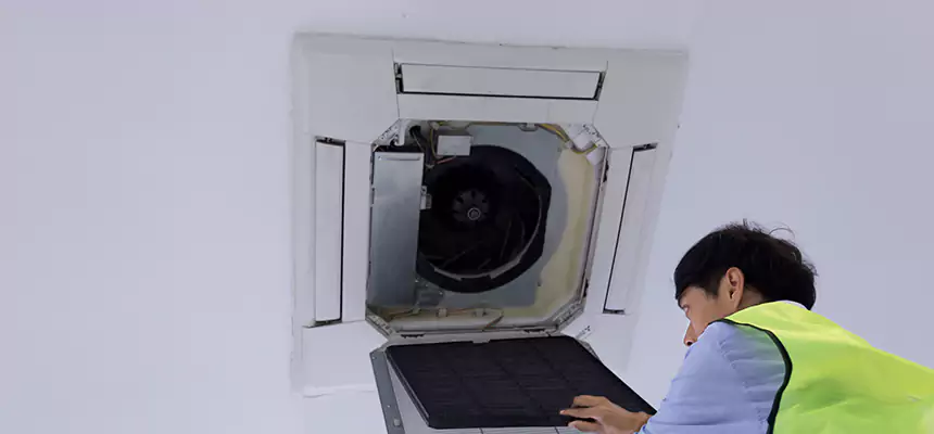 Our Dryer Vent Sanitization Service Services in Haines City, FL