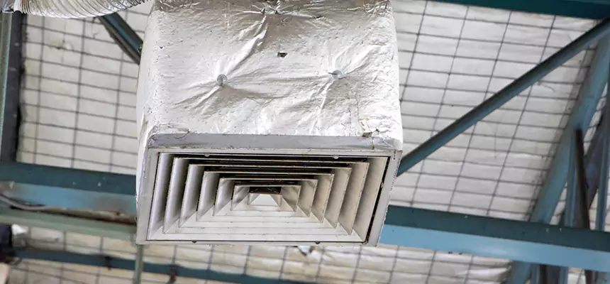 Our HVAC Mold Remediation Service Services in Haines City, FL