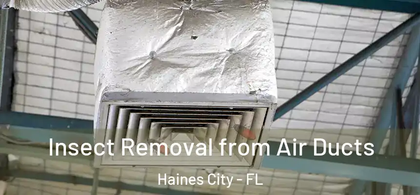 Insect Removal from Air Ducts Haines City - FL