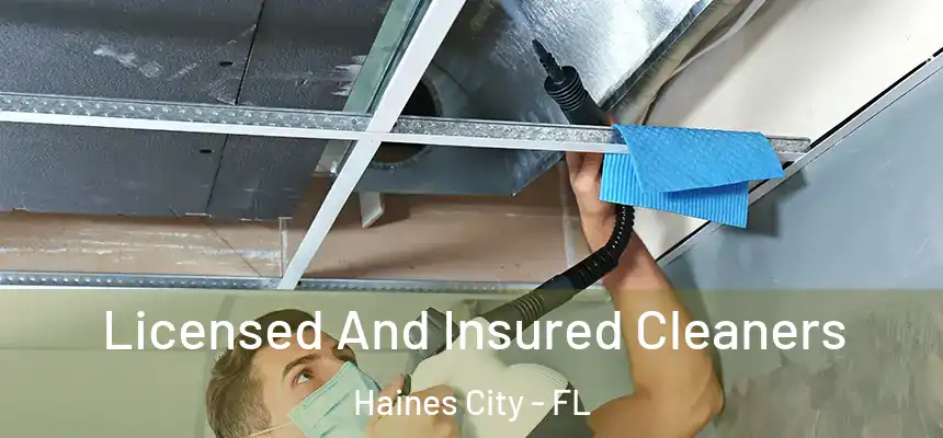 Licensed And Insured Cleaners Haines City - FL