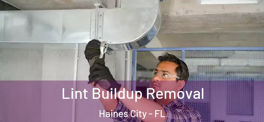 Lint Buildup Removal Haines City - FL