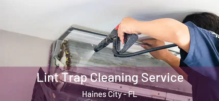 Lint Trap Cleaning Service Haines City - FL