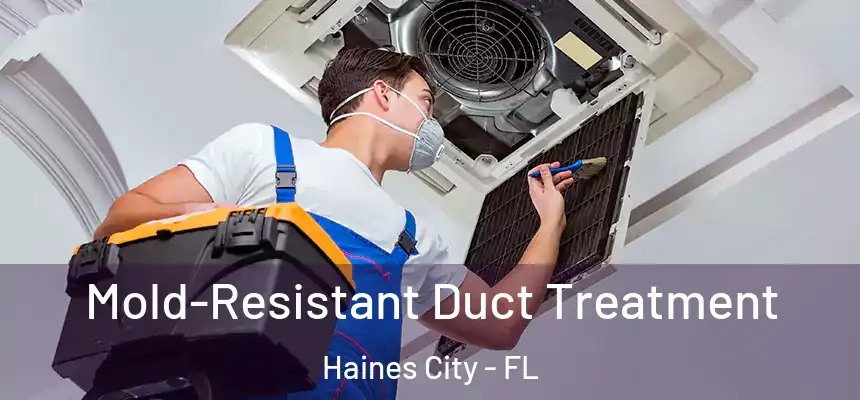 Mold-Resistant Duct Treatment Haines City - FL
