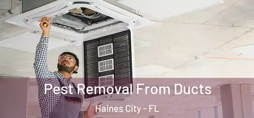 Pest Removal From Ducts Haines City - FL