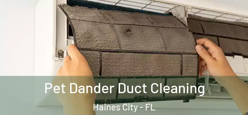 Pet Dander Duct Cleaning Haines City - FL