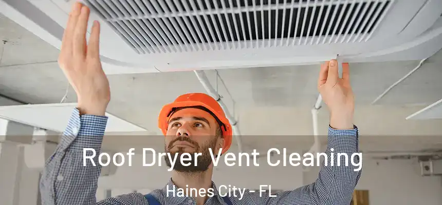 Roof Dryer Vent Cleaning Haines City - FL