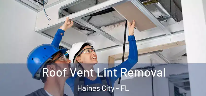  Roof Vent Lint Removal Haines City - FL