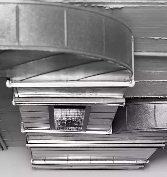 Professional Air Duct Pest Removal in Haines City, FL