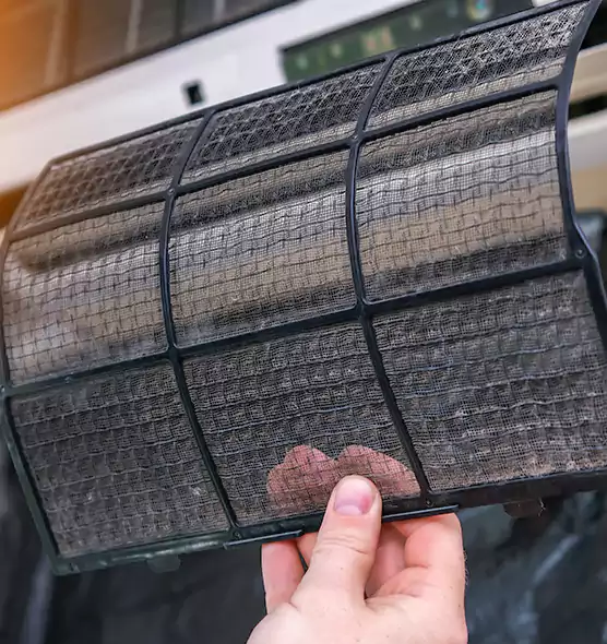 About Pet Dander Duct Cleaning in Haines City, FL