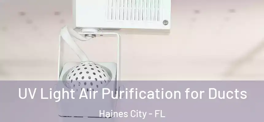 UV Light Air Purification for Ducts Haines City - FL