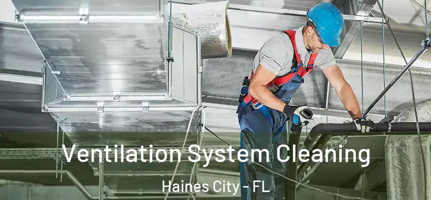  Ventilation System Cleaning Haines City - FL
